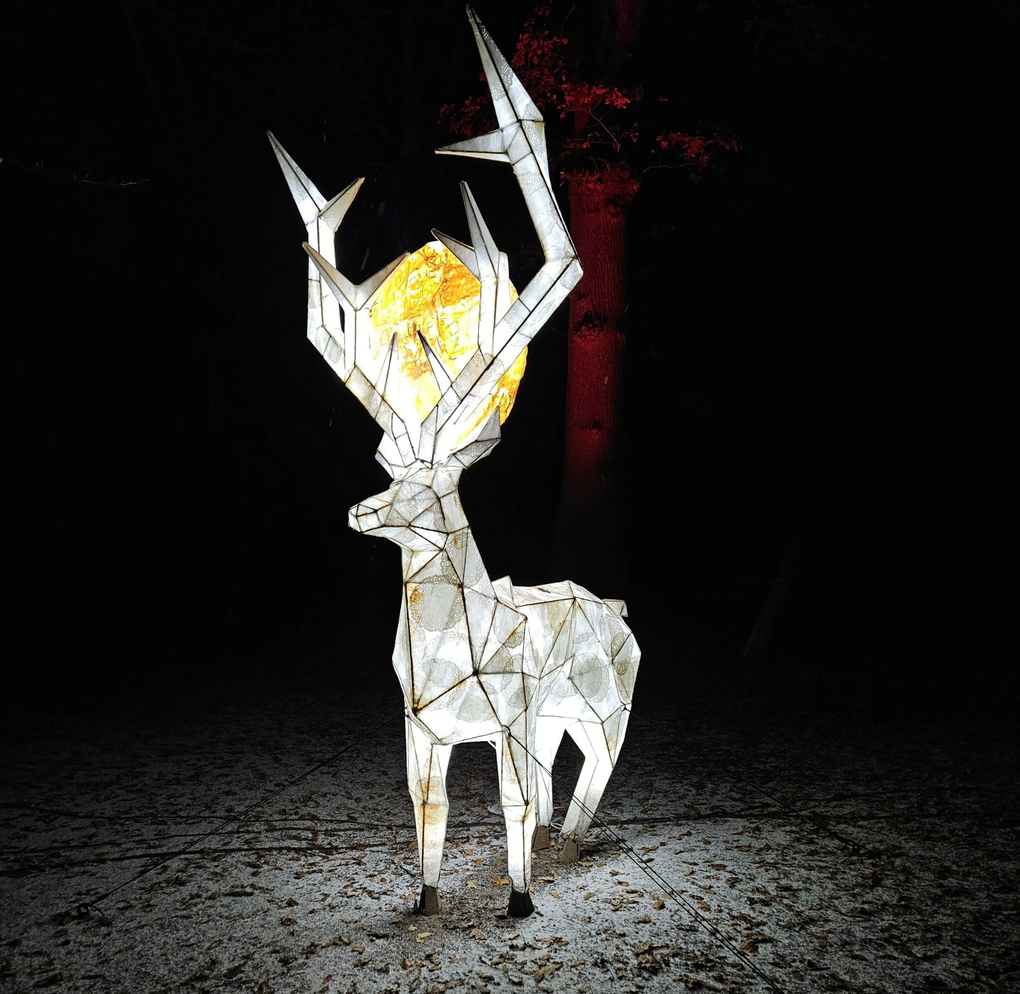 tatton park christmas light trail, tatton park light trail review, tatton park christmas lights